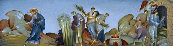 seeds1.jpg